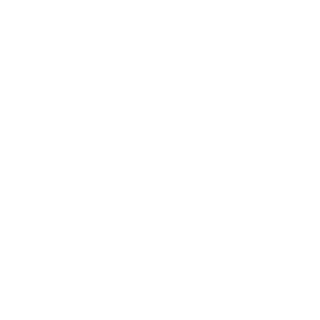 Logo-vibre-et-raisonne-blanc